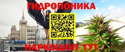 крисы Балаково