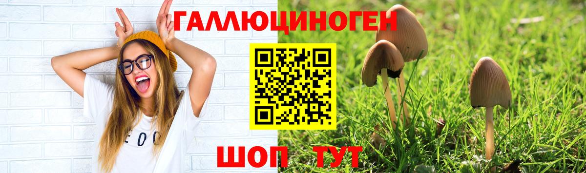 Добрянка  Галлюциногенные грибы GOLDEN TEACHER  Вход с VPN  Псилоцибиновые грибы MAGIC MUSHROOMS 