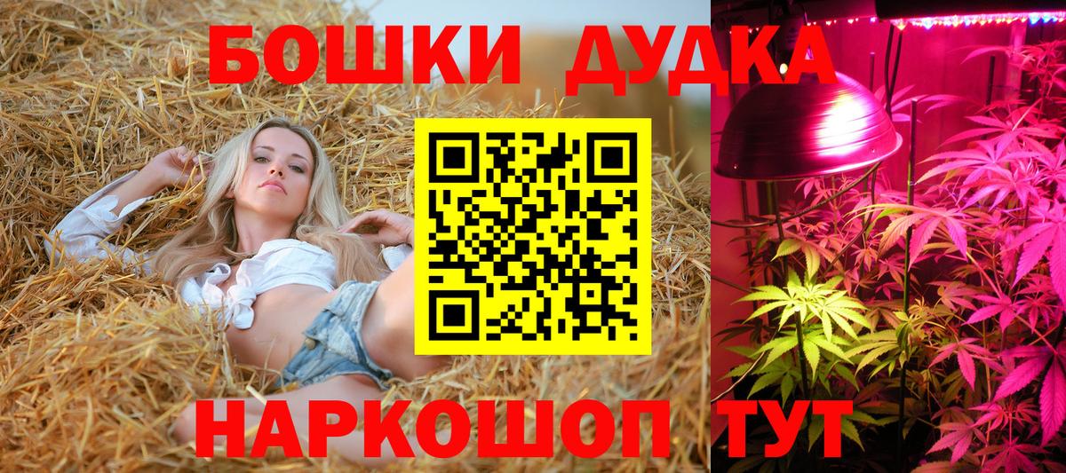 Бошки Шишки SATIVA & INDICA  Вход с VPN  Бошки Шишки гибрид  Добрянка 